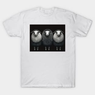 Fashion Sheep T-Shirt